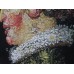 Gobelínový povlak na polštář - Printemps Arcimboldo